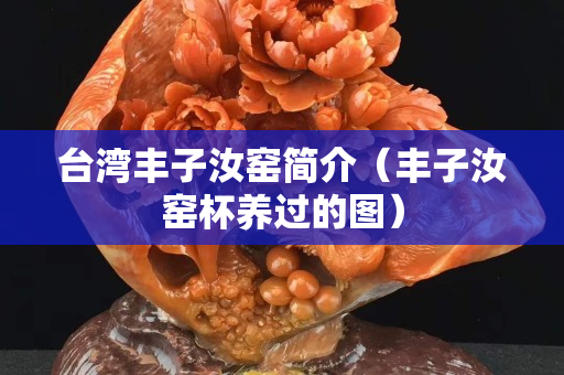 臺灣豐子汝窯簡介（豐子汝窯杯養過的圖）