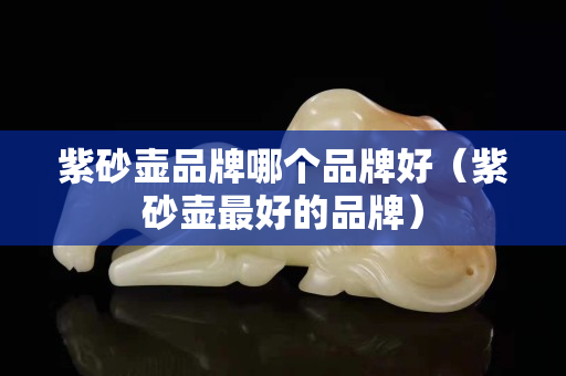 紫砂壺品牌哪個品牌好（紫砂壺最好的品牌）