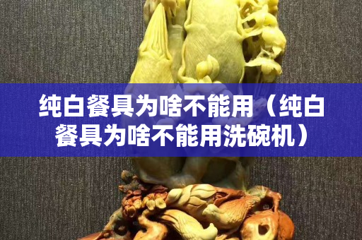 純白餐具為啥不能用（純白餐具為啥不能用洗碗機）