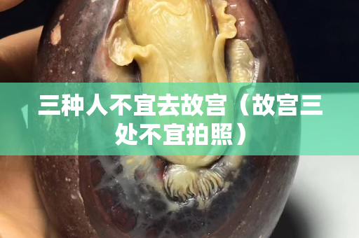 三種人不宜去故宮（故宮三處不宜拍照）
