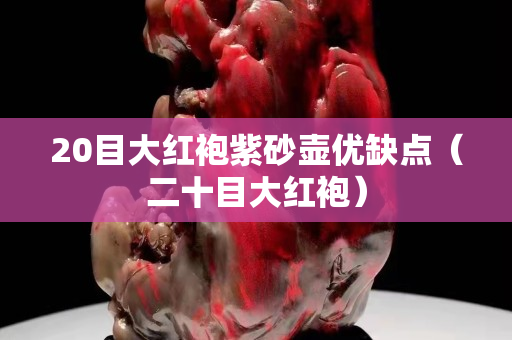 20目大紅袍紫砂壺優缺點（二十目大紅袍）