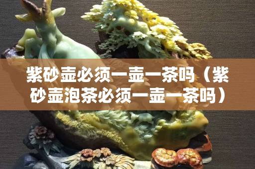 紫砂壺必須一壺一茶嗎（紫砂壺泡茶必須一壺一茶嗎）