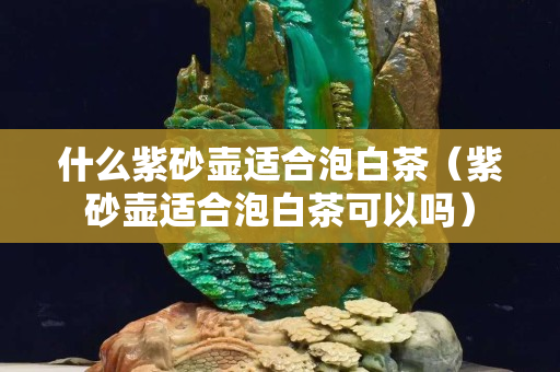 什么紫砂壺適合泡白茶（紫砂壺適合泡白茶可以嗎）