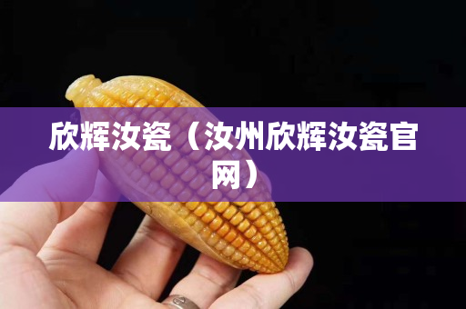 欣輝汝瓷（汝州欣輝汝瓷官網）