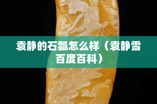 袁靜的石瓢怎么樣（袁靜雪百度百科）