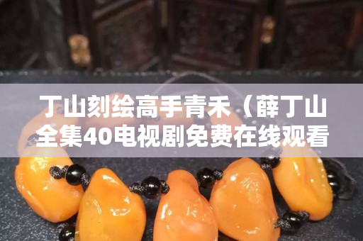 丁山刻繪高手青禾（薛丁山全集40電視劇免費在線觀看）