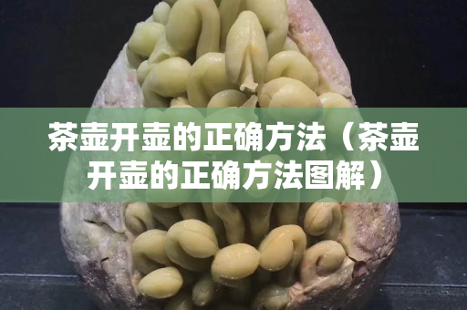 茶壺開壺的正確方法（茶壺開壺的正確方法圖解）