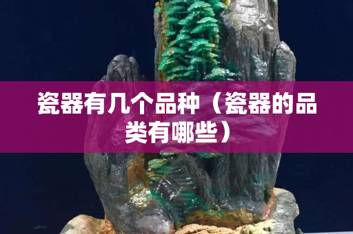 瓷器有幾個品種（瓷器的品類有哪些）