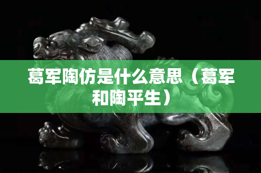 葛軍陶仿是什么意思（葛軍和陶平生）