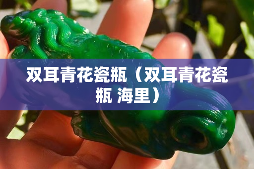 雙耳青花瓷瓶（雙耳青花瓷瓶 海里）