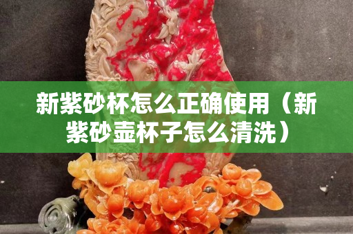 新紫砂杯怎么正確使用（新紫砂壺杯子怎么清洗）