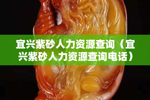宜興紫砂人力資源查詢（宜興紫砂人力資源查詢電話）