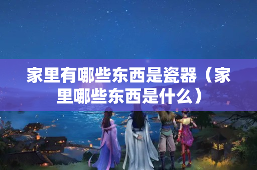 家里有哪些東西是瓷器（家里哪些東西是什么）