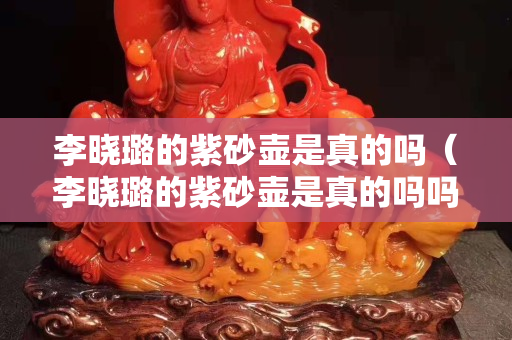 李曉璐的紫砂壺是真的嗎（李曉璐的紫砂壺是真的嗎嗎）