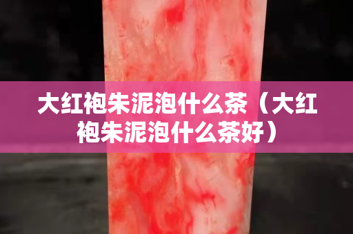 大紅袍朱泥泡什么茶（大紅袍朱泥泡什么茶好）