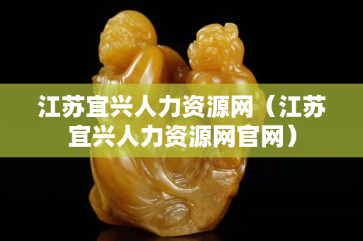 江蘇宜興人力資源網（江蘇宜興人力資源網官網）