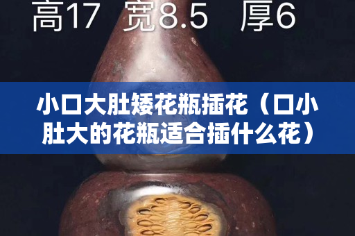 小口大肚矮花瓶插花（口小肚大的花瓶適合插什么花）
