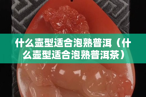 什么壺型適合泡熟普洱（什么壺型適合泡熟普洱茶）