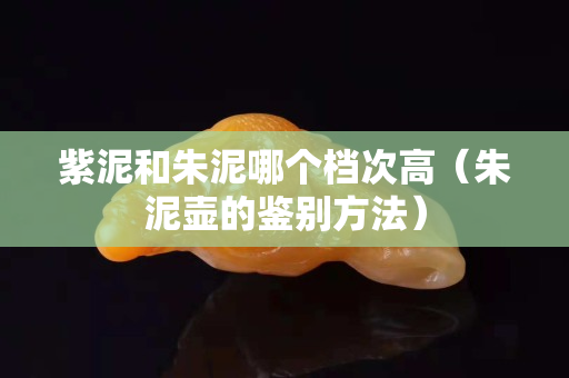 紫泥和朱泥哪個檔次高（朱泥壺的鑒別方法）