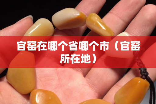 官窯在哪個省哪個市（官窯所在地）