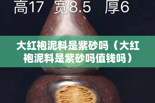 大紅袍泥料是紫砂嗎（大紅袍泥料是紫砂嗎值錢嗎）