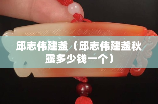 邱志偉建盞（邱志偉建盞秋露多少錢一個）