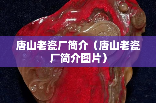 唐山老瓷廠簡(jiǎn)介（唐山老瓷廠簡(jiǎn)介圖片）