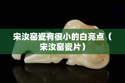 宋汝窯瓷有很小的白亮點(diǎn)（宋汝窯瓷片）