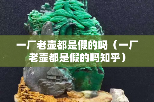 一廠老壺都是假的嗎（一廠老壺都是假的嗎知乎）