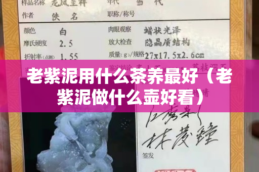 老紫泥用什么茶養最好（老紫泥做什么壺好看）