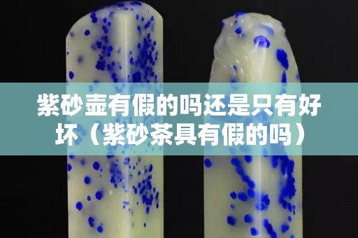紫砂壺有假的嗎還是只有好壞（紫砂茶具有假的嗎）