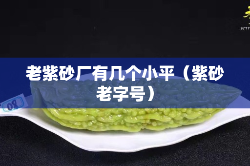 老紫砂廠有幾個小平（紫砂老字號）