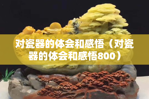 對瓷器的體會和感悟（對瓷器的體會和感悟800）