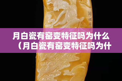 月白瓷有窯變特征嗎為什么（月白瓷有窯變特征嗎為什么不值錢）