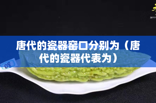 唐代的瓷器窯口分別為（唐代的瓷器代表為）