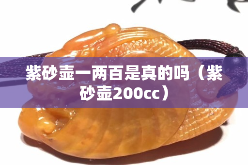 紫砂壺一兩百是真的嗎（紫砂壺200cc）