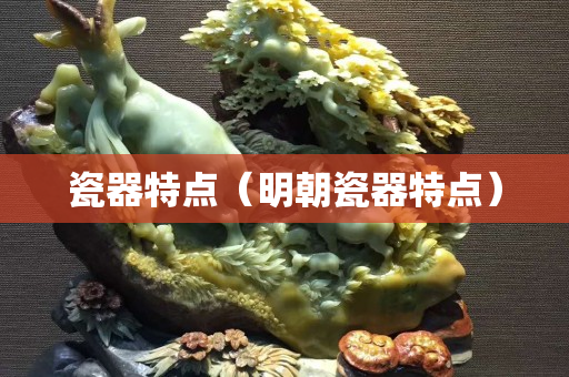 瓷器特點（明朝瓷器特點）