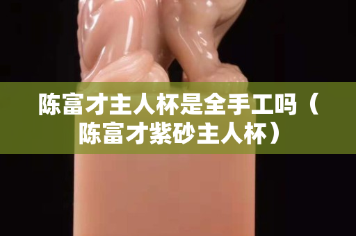 陳富才主人杯是全手工嗎（陳富才紫砂主人杯）