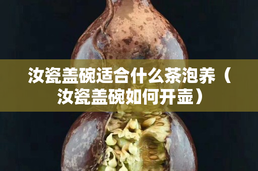 汝瓷蓋碗適合什么茶泡養(yǎng)（汝瓷蓋碗如何開壺）