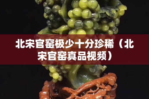 北宋官窯極少十分珍稀（北宋官窯真品視頻）
