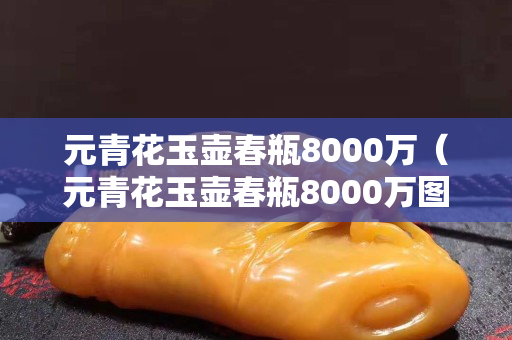 元青花玉壺春瓶8000萬（元青花玉壺春瓶8000萬圖片）