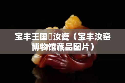 寶豐王國竒汝瓷（寶豐汝窯博物館藏品圖片）