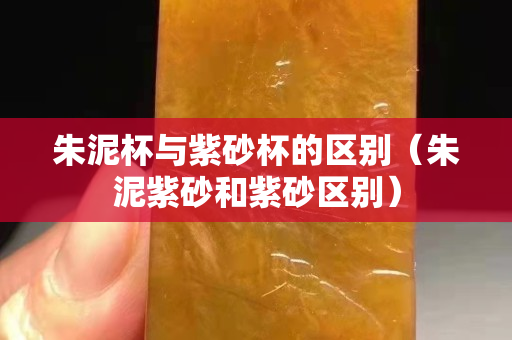 朱泥杯與紫砂杯的區別（朱泥紫砂和紫砂區別）
