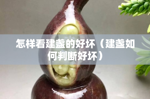 怎樣看建盞的好壞（建盞如何判斷好壞）