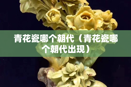 青花瓷哪個(gè)朝代（青花瓷哪個(gè)朝代出現(xiàn)）