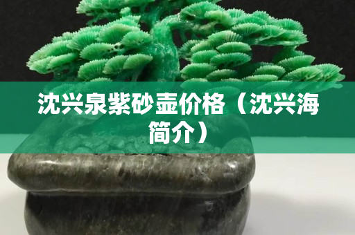 沈興泉紫砂壺價(jià)格（沈興海簡介）