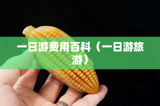 一日游費用百科（一日游旅游）