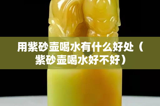 用紫砂壺喝水有什么好處（紫砂壺喝水好不好）