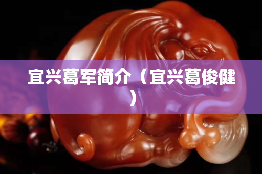宜興葛軍簡介（宜興葛俊健）
