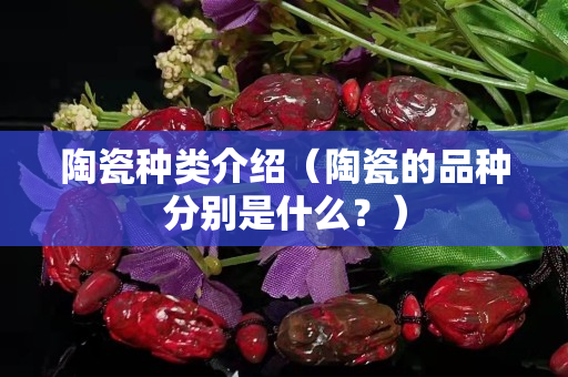 陶瓷種類介紹（陶瓷的品種分別是什么？）
